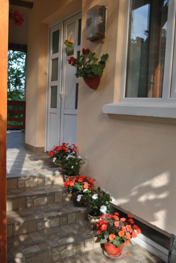 Casa Kelemen Apartman Szováta Kültér fotó