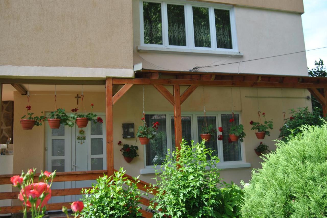 Casa Kelemen Apartman Szováta Kültér fotó