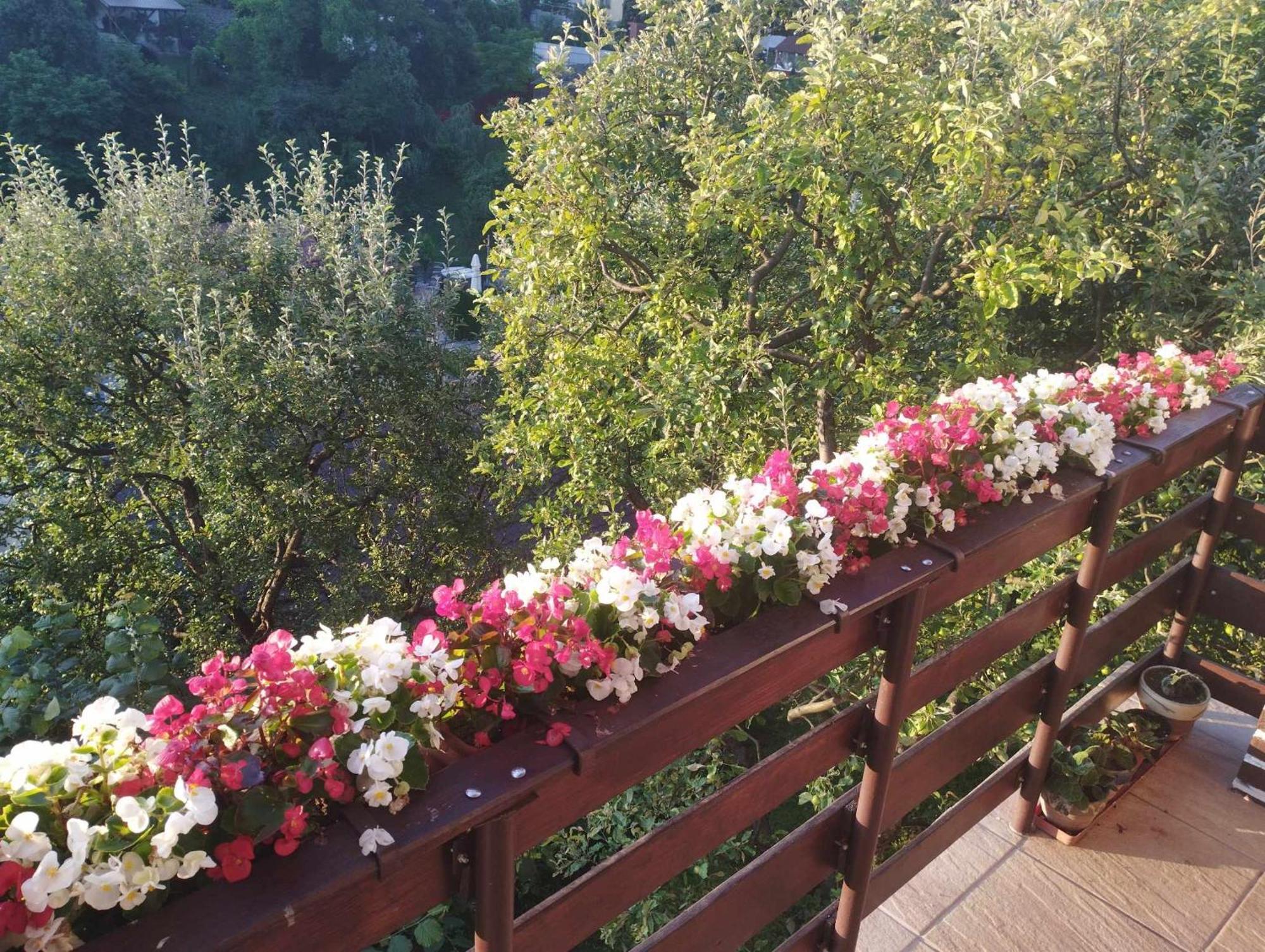Casa Kelemen Apartman Szováta Kültér fotó