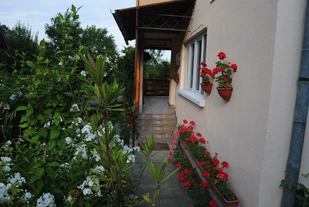 Casa Kelemen Apartman Szováta Kültér fotó
